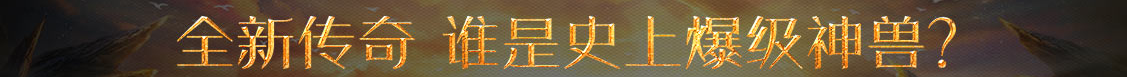投资管理债券网